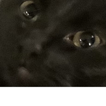 Hi. Are you goodhihihihihihihihihihihihihihihihihi