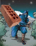 I throw bricks at homeless people