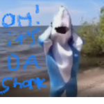 Dashark O