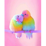 hello birdies