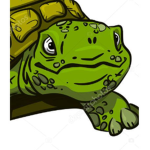 TURTLE group team