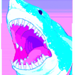 shark clothing.