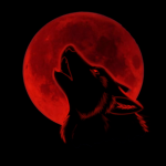 Wolf Legion Divisions