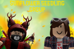 Sunflower seedling group