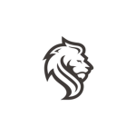 LİON STORE