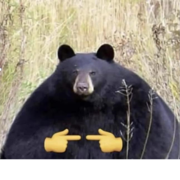 NOOOOOOOOOOOOOOOOOOOOOO