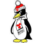 Electric Penguin Studio Roleplaying