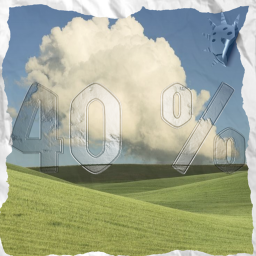 get 40% back from every purchase