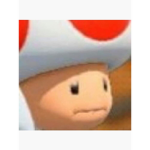 YoboiSquad