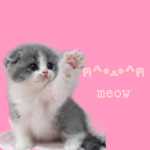 Kitties meow~