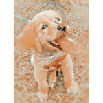 Preppyyy pups