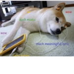 Group only for doges