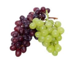 The Grape Army
