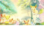 Eevees Clothing