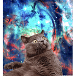 !the cats cradel!