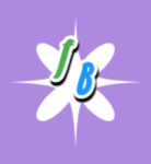FlyBlox Studios