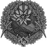 6. LG-Volunteer Alpine Division "Bern"