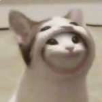 popcats!6698