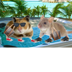 Louie Ratton