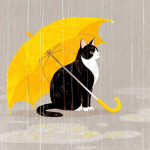 Misty Kitty