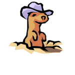 cowboys rats