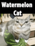 watermelons (TM)