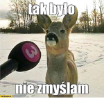 Snally Games