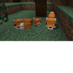 BloxDie Fans Group