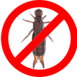 Anti Earwig Federation [AEF]