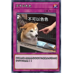 tingting粉絲群