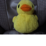 Duckies Plushies