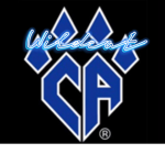 《 Wildcat Cheer 》