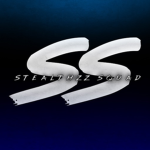 SteaIthzz Squad