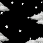 •the star lights•
