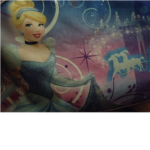 The Cinderella Fans