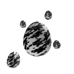 Black White Cosmic Egg