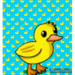 Ducky’s duck