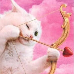 💗[DEV] DTI: Staging💗