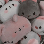 wavesc