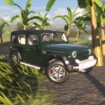 Indian Roads 