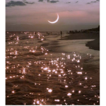 Just for my friends :>