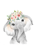 Elephant group :)
