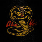 Cobra kai official karate