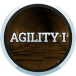 Agility I