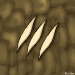 Project : Lost Claws