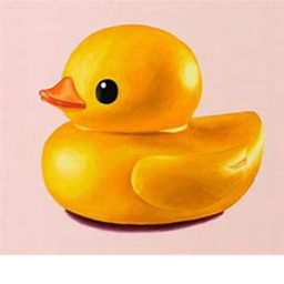 Ducky Hangout🐤