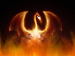FireFall Games