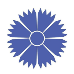Belavia TM