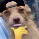 LS_stream gang