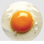 It’s the egg place!